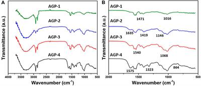 Multifunctional Arabinoxylan-functionalized-Graphene Oxide Based Composite Hydrogel for Skin Tissue Engineering